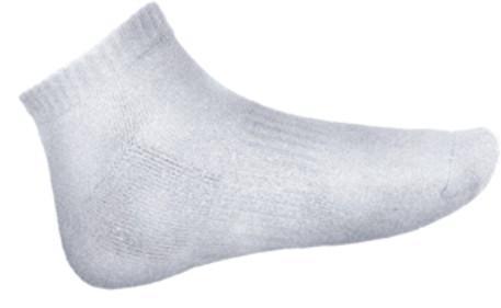 Ankle Sports Socks - White - sportscrazy.com.au